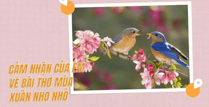 Tranh minh họa đặc sắc (Nguồn: internet)