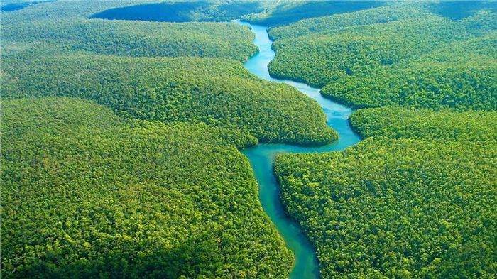 Tranh minh họa: Hình tượng 'cầu dải yếm' trong nghệ thuật dân gian Việt Nam (Nguồn: Di sản văn hóa)