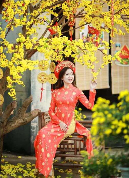 Hình ảnh minh họa (Nguồn Internet) ảnh 1