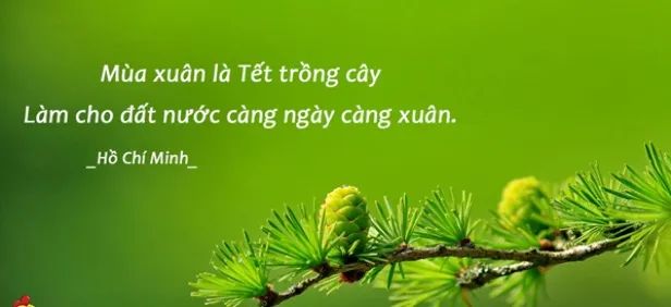 Hình ảnh minh họa sinh động (Nguồn: internet)