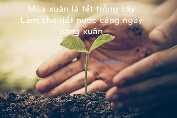Hình ảnh minh họa sinh động (Nguồn: internet)