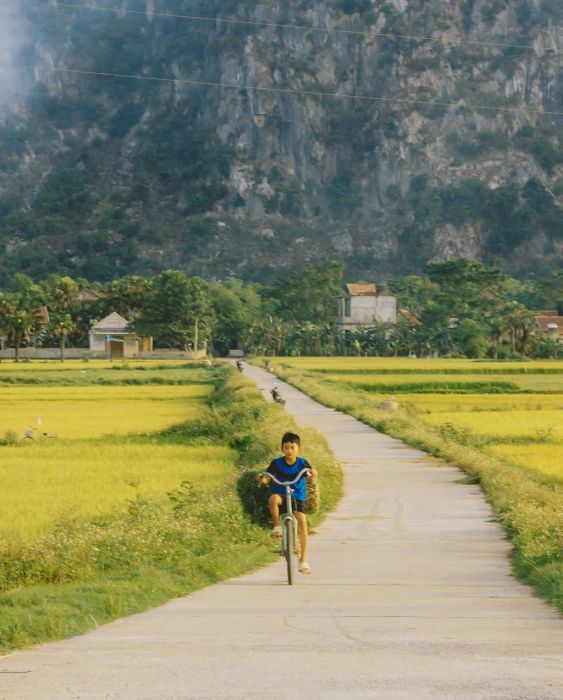 Ảnh minh họa (Nguồn từ internet) ảnh 1