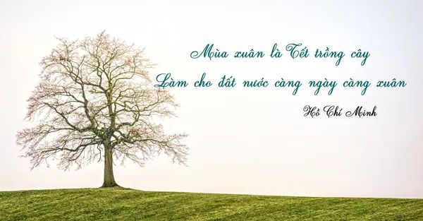 Hình ảnh minh họa sinh động (Nguồn: internet)
