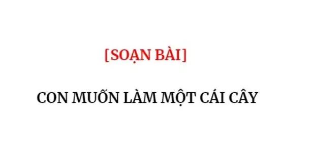 Hình ảnh minh họa đầy cảm xúc (Nguồn: Internet)