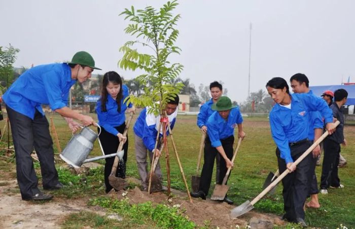 Hình ảnh minh họa sinh động (Nguồn: internet)