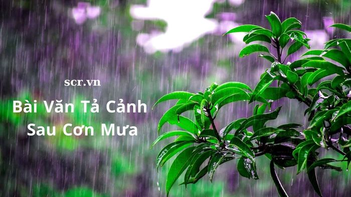 Ảnh minh họa (Nguồn internet) ảnh 1