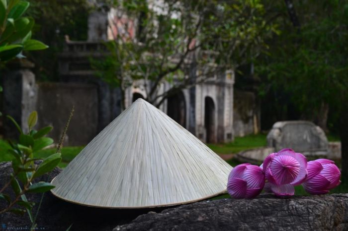 Hình ảnh minh họa số 1
