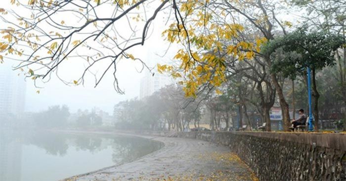 Ảnh minh họa (Nguồn internet) ảnh 1