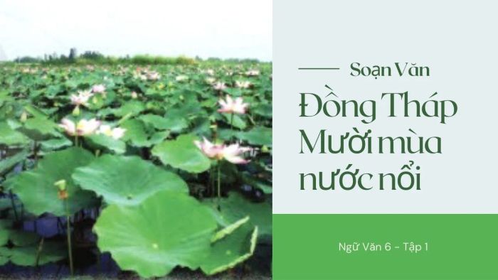 Hình ảnh minh họa chân thực về đời sống miền Tây sông nước (Nguồn: Internet)