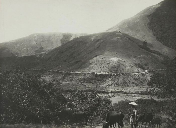 Hình ảnh minh họa 1: Bức tranh Đèo Ngang