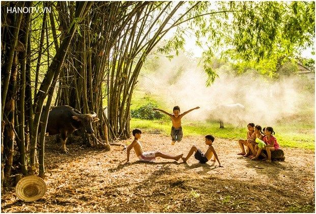 Hình ảnh minh họa: Khóm tre làng quê (Nguồn: internet)