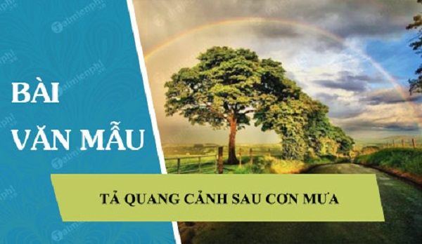 Ảnh minh họa (Nguồn internet) ảnh 1