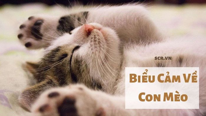 Hình ảnh minh họa sống động (Nguồn: Internet)