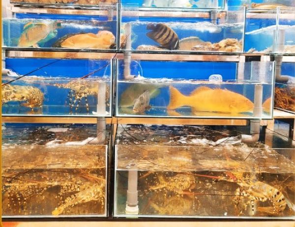 Bữa tiệc hải sản tươi ngon tại Tri Kỷ Côn Đảo Restaurant