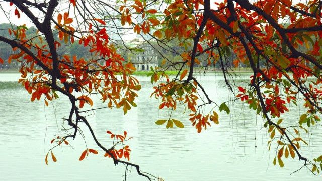 Ảnh minh họa: Khung cảnh giao mùa trong thơ Hữu Thỉnh