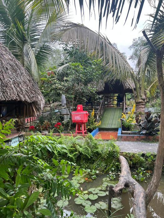 Không gian hài hòa với thiên nhiên