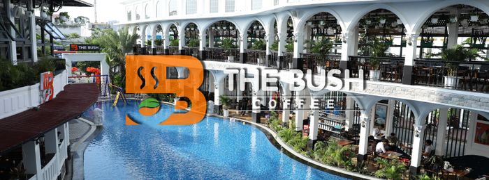 Khu vực hồ bơi sang trọng tại The Bush Coffee