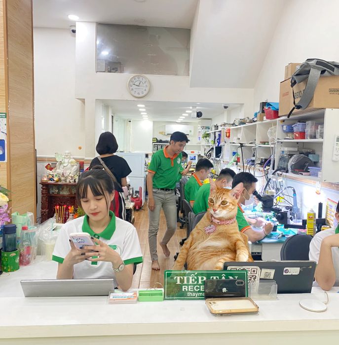 Hoàng Khánh Mobile ảnh 2