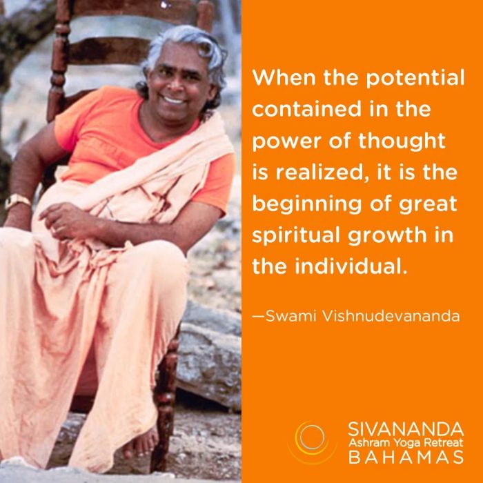 Chân dung đạo sư Swami Vishnu Devananda - tác giả kiệt xuất
