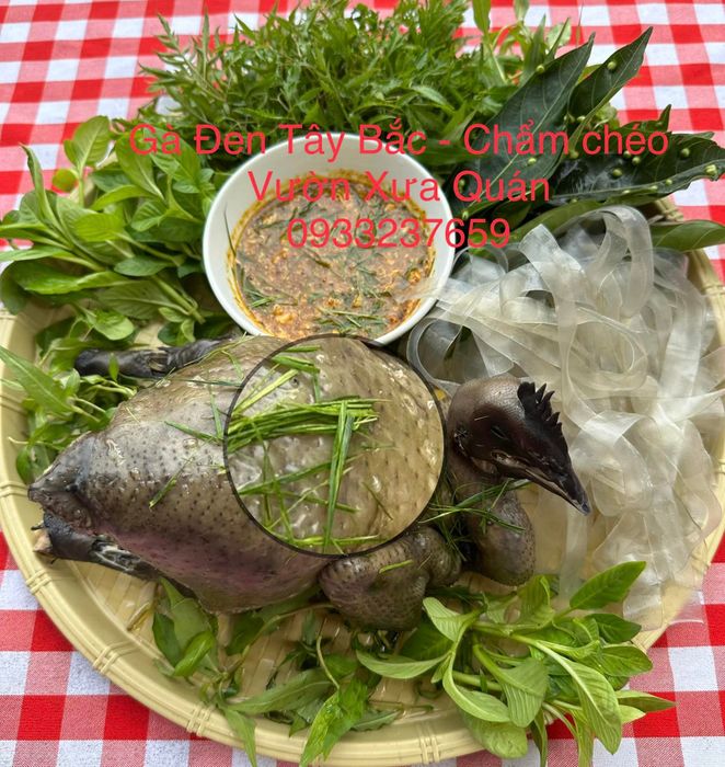 Hình ảnh món Gà đen Tây Bắc đặc sắc