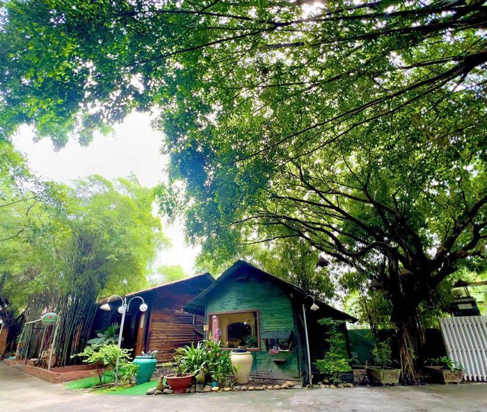 Không gian ấn tượng tại nhà hàng
