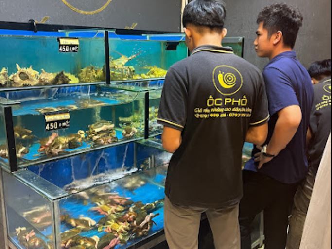 Hình ảnh món hải sản tươi ngon tại Ốc Phố