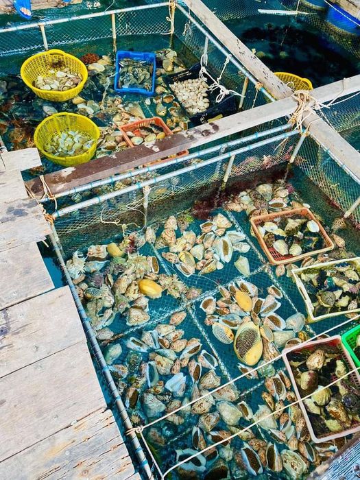Không gian độc đáo của Nhà hàng nổi Kim trên vịnh Bến Đầm