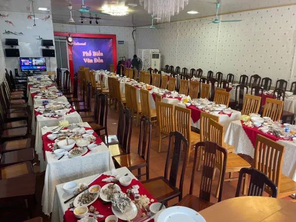 Không gian ấm cúng tại Nhà Hàng Phố Biển Vân Đồn - Nơi lưu giữ hương vị biển cả
