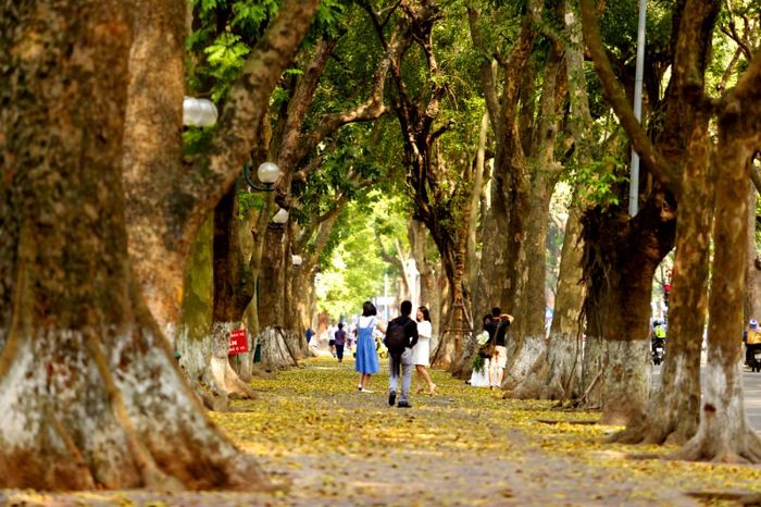 Ảnh minh họa: Khung cảnh giao mùa hạ - thu