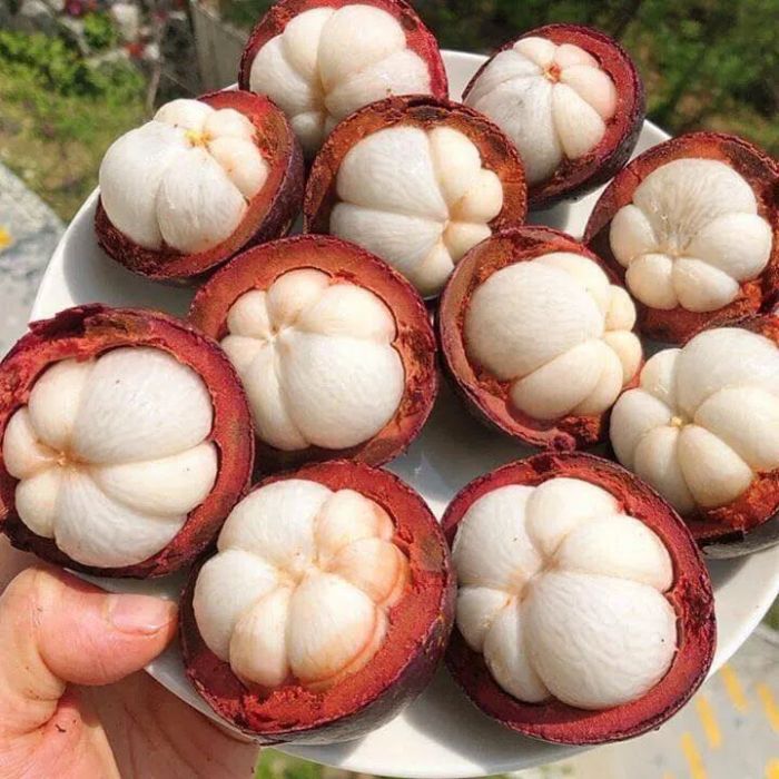Bộ sưu tập trái cây nhập khẩu cao cấp tại Đà Lạt Xanh