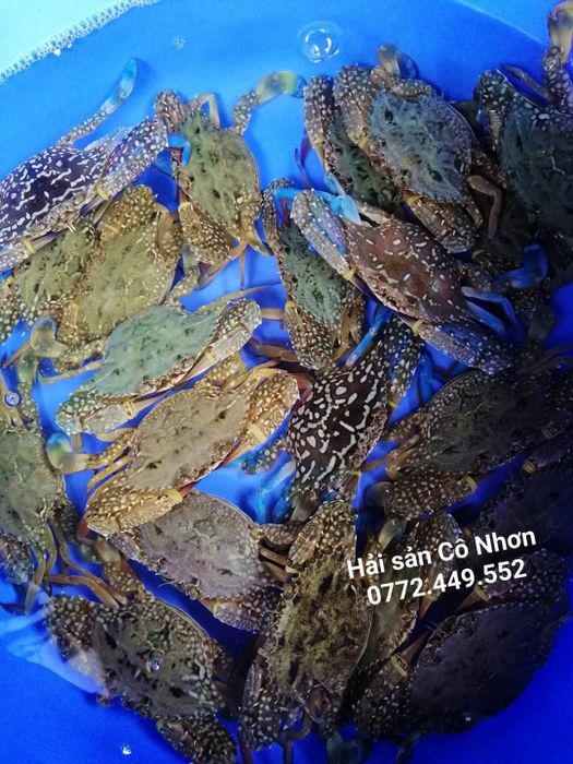 Không gian ấn tượng tại Hải sản Cô Nhơn