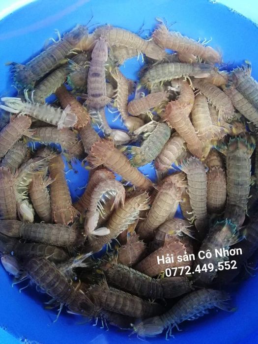 Hình ảnh chân thực về Hải sản Cô Nhơn