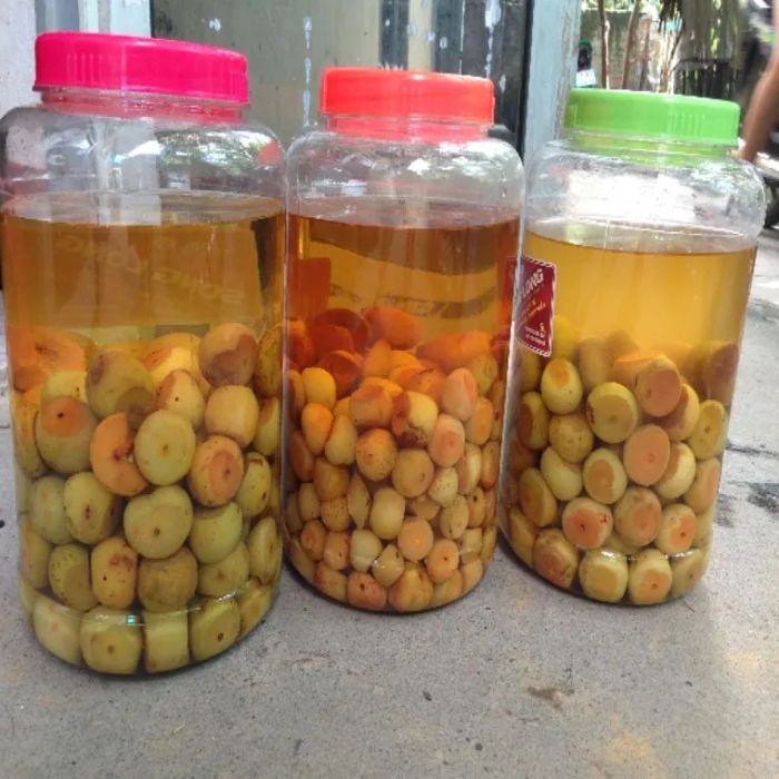 Rượu táo mèo - Ảnh 2