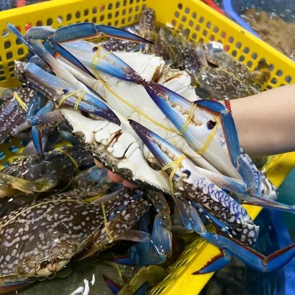 Không gian trưng bày hải sản tươi sống tại Hải Sản Mai Thịnh