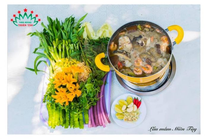 Ảnh 1 - Nhà Hàng Thiên Tân: Nồi lẩu mắm vàng ươm cùng nguyên liệu tươi ngon bày biện đẹp mắt