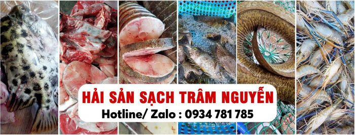 Không gian ấn tượng tại Hải Sản Sạch Trâm Nguyễn