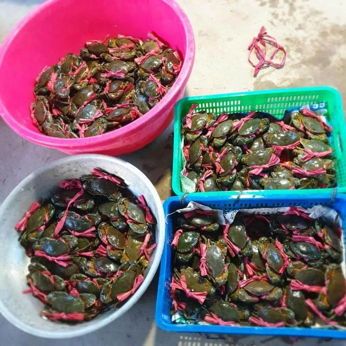 Hình ảnh hải sản tươi sống tại Hải Sản Thuân Nguyễn