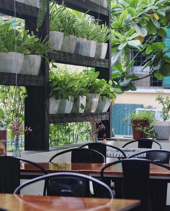 Muối Tiêu - Salt n' Pepper Kitchen ảnh 2 - Trải Nghiệm Món Ăn Pháp Đặc Sắc, Không Gian Ấm Cúng Tại Tống Duy Tân