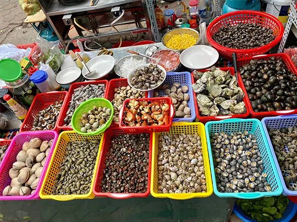 Bộ sưu tập ốc tươi sống đa dạng chủng loại