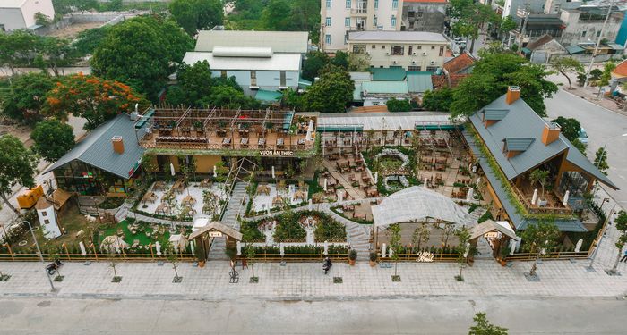 Ảnh YÊN Forest 1