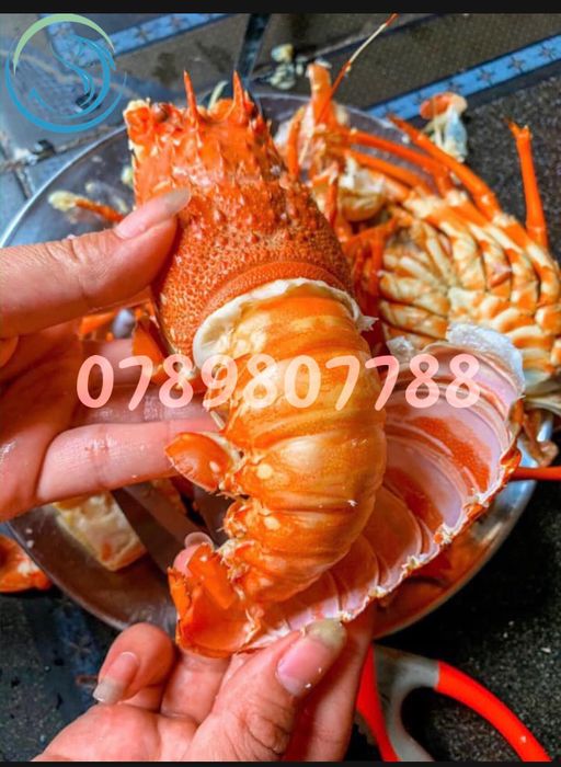 Khoảnh khắc đẹp tại Hải Sản Phan