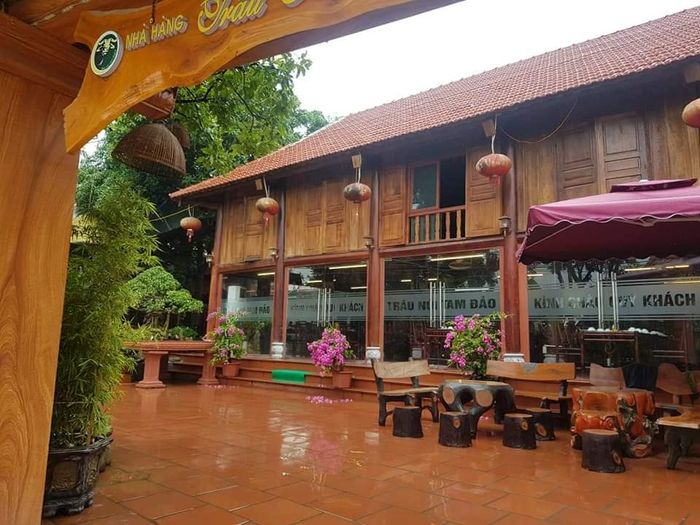 Khám phá những góc nhìn nghệ thuật về các món đặc sản thịt trâu và không gian ấm cúng tại Nhà Hàng Trâu Núi