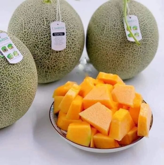 Không gian xanh mát tại Vườn Xanh