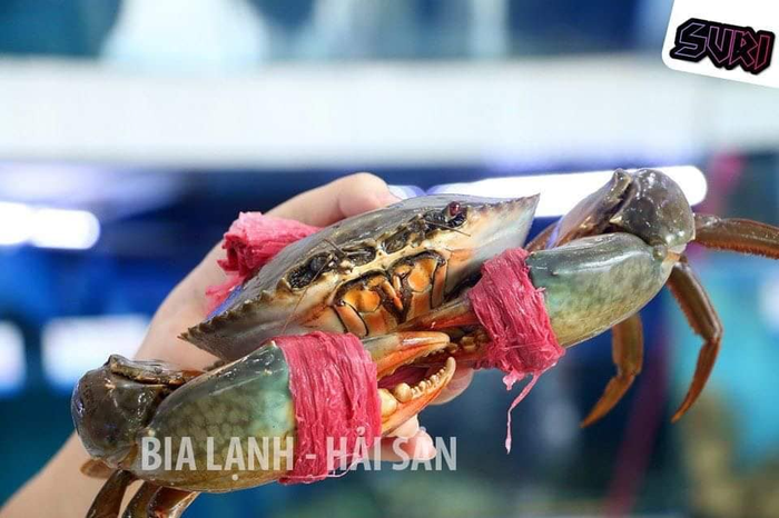 Nhà hàng Hải sản SURI - ảnh 2