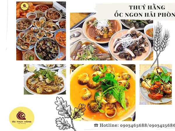 Không gian ấm cúng tại Ốc Thúy Hằng cơ sở chính