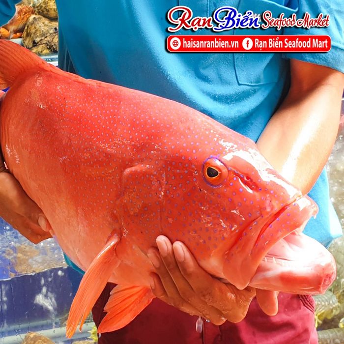 Không gian sang trọng tại Hải sản Rạn Biển