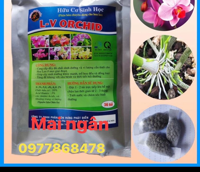 Khu vực chuyên dụng trưng bày hạt giống tại Mai Ngân