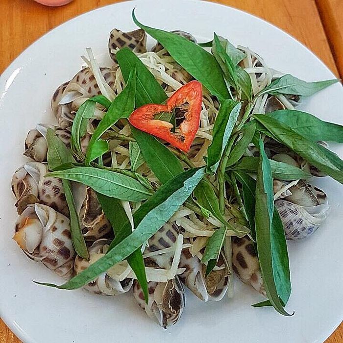 Không gian ấm cúng và món ngon đặc trưng tại Ốc Nàng Hai