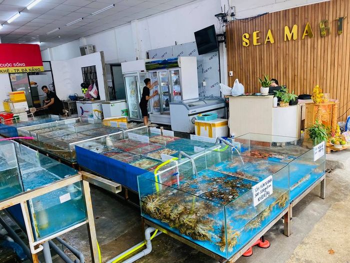 Seamart - Thế Giới Hải Sản - Khoảnh khắc tươi ngon qua ống kính (Ảnh 1)