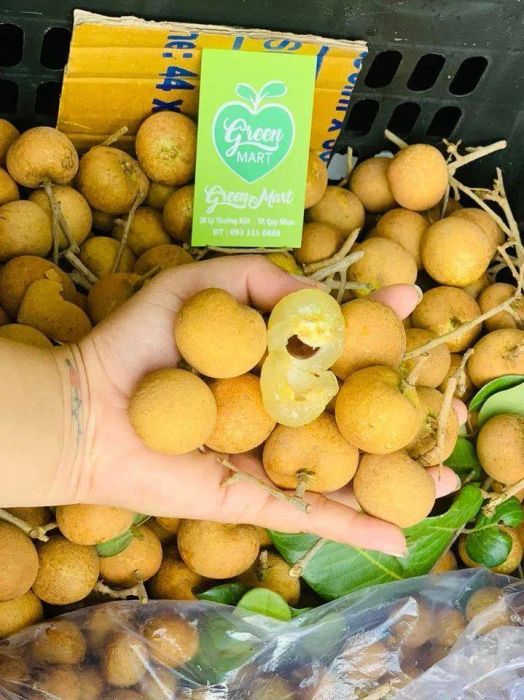 Không gian mua sắm xanh mát tại Green Mart